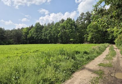Działka obok grodziska | dla dewelopera | las