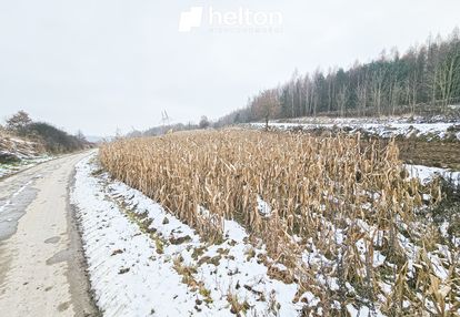 Duża działka 1,2 ha || ok. miechowa||