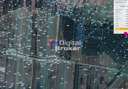 ⭐️do kielc 48 km ⭐8081 m²⭐działka rolna⭐