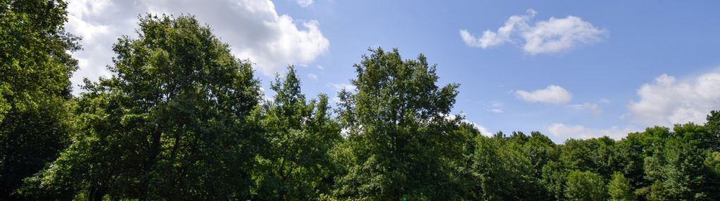 Wyjątkowa działka rolno-leśna z warunkami zabudowy