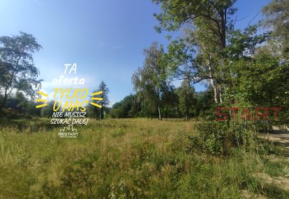 Piękna działka przy lesie – grabnik