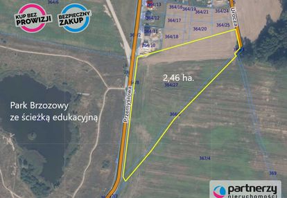 Działka w skowarczu - prawie 2,5 hektara.