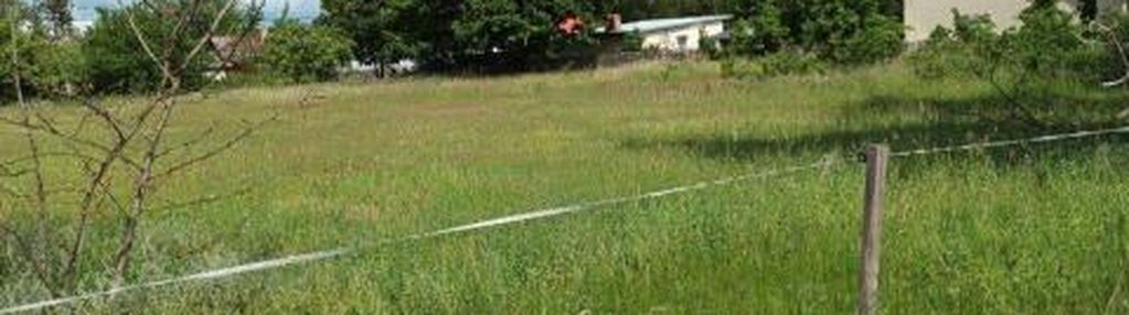 Działka 4000 m² – 53 × 150 m, dojazd z dwóch stron