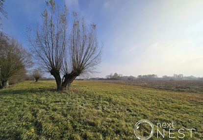 Działka pod siedlisko 8000 m2, wilczkowice dolne