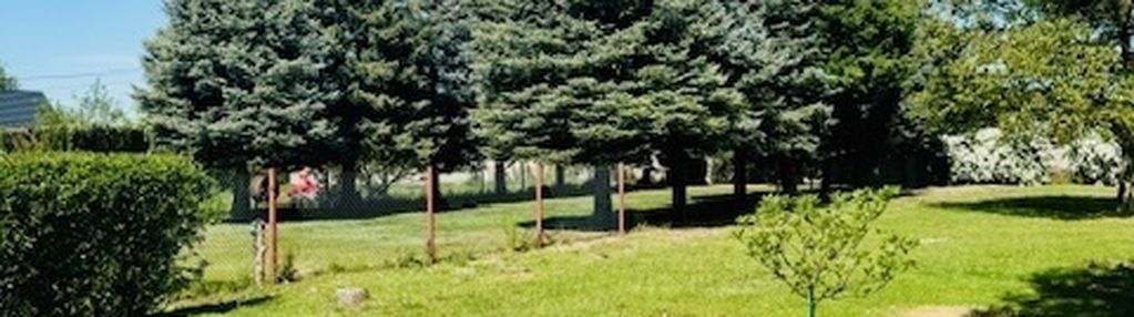 Działka z pięknym ogrodem -tarnowo podgórne