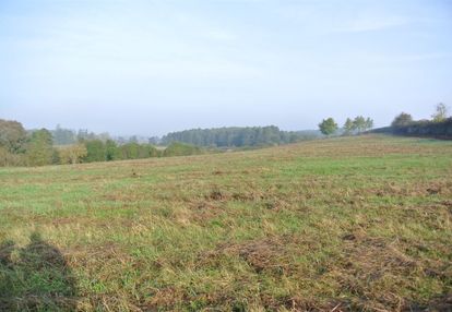 Działka inwestycyjna gmina sobków