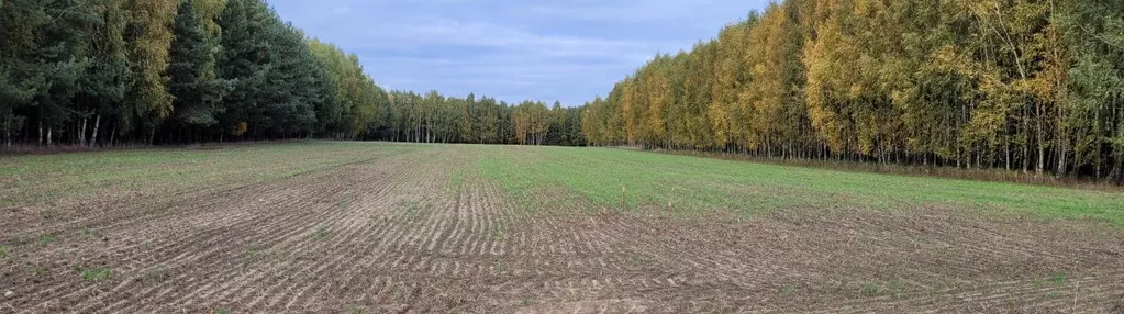 Działka na sprzedaż 297m2