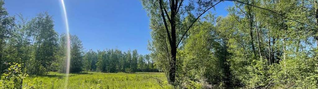 Działka ze stawem, 4085m2 w budach michałowskich