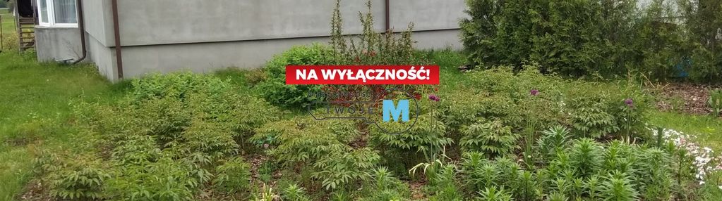 Dom z dużym potencjałem do  wykorzystania, szewce.