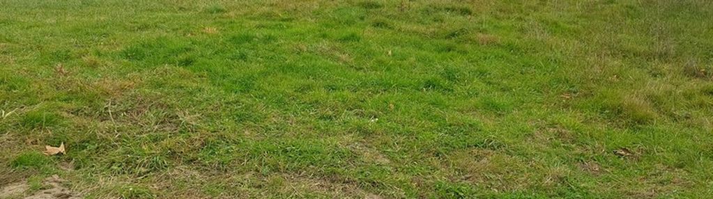 Działka budowlana 36 ar, tuchów okazyjna cena !