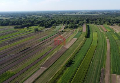 Tania działka leśna 2.28ha zasów gm.żyraków dębica