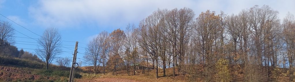 Malownicza działka w pobliżu szczawna zdroju