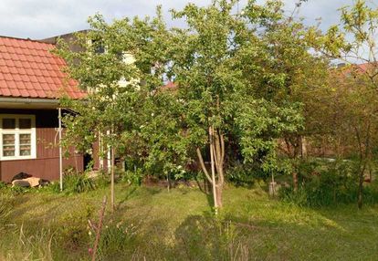 420 m2  rod dolinka