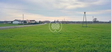 Działka 3020m2 borówno kowalewo pomorskie