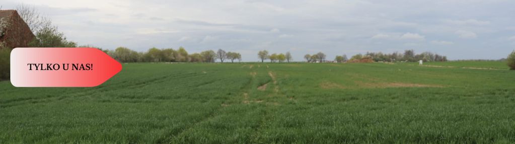 Duża działka 1,15 ha z zabudowaniami