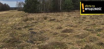 Grunt rolny 3,53 ha w piasku małym koło solca