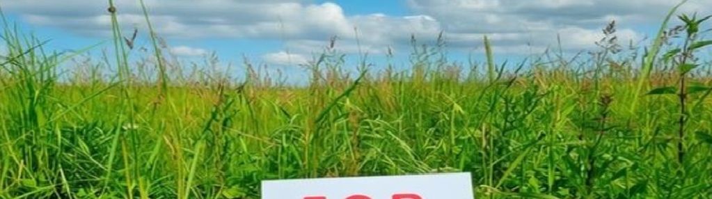 Działka budowlana o pow.1212 m2 - warpie u. pawia