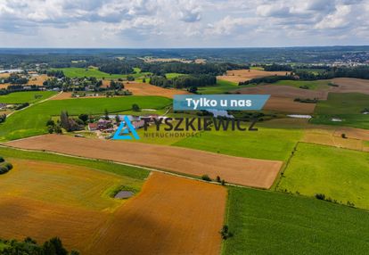 Działka rolna 1 ha w przęsinie – tylko 100 000 zł!