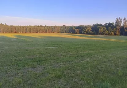 Działka na sprzedaż 3000m2