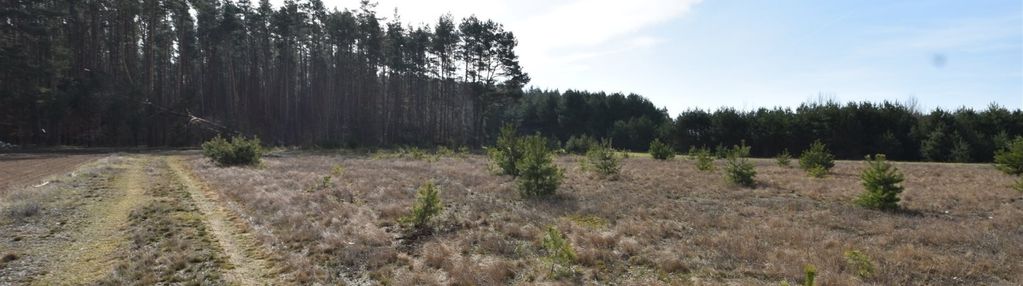 Działka o pow. 2094 m2! paruszka gm. krajenka!