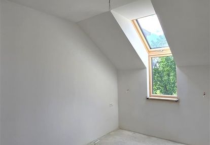 Cieplice zielone tarasy - zagajnik