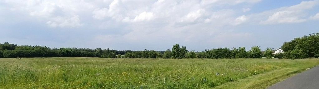 Twój azyl pod strykowem – 4760 m² ciszy i natury