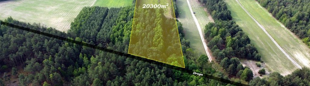 Piękna częściowo zadrzewiona działka rolna.