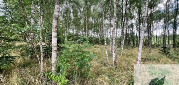 Działka blisko inska o pow. 3412 m2