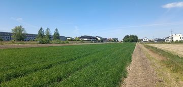Zgorzała, cicha, ustawna  mpzp
