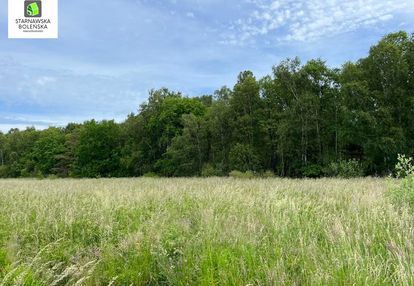 Działki nad morzem w sasinie przy samym lesie.