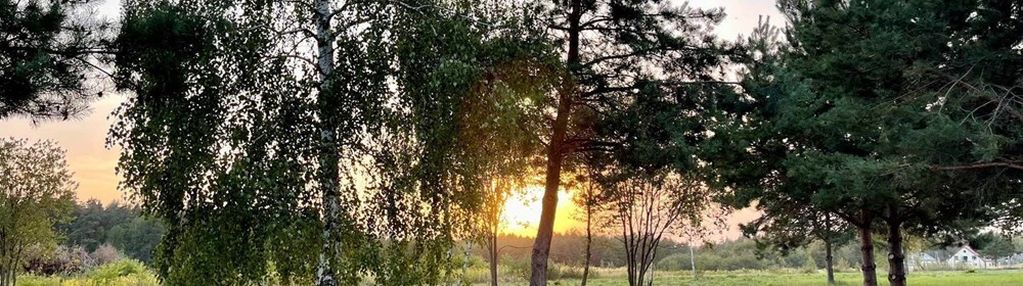 Działka budowlana - sprzedaż - józefów gm. pniewy