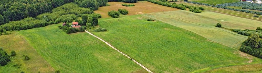 Osiedle przy rozległym kompleksie leśnym