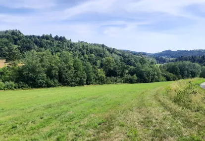 Działka na sprzedaż 1000m2