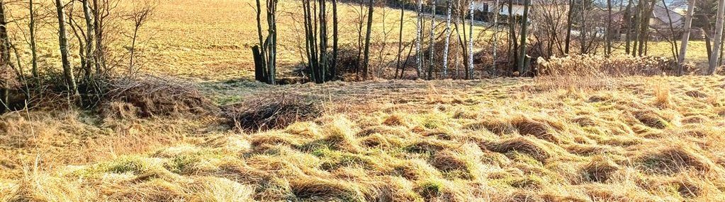 Działka budowlana z widokiem , nowa zabudowa