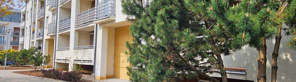 3 pok. w rozkładzie, krzyki/klecina/partynicka