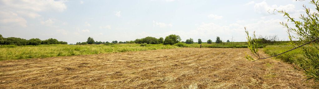 Działka rolna- zaborów- brzesko-małopolska