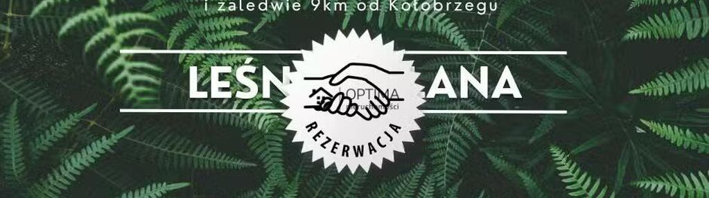 Działka z widokiem na las, obok vilpark