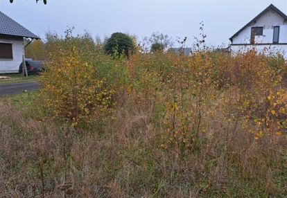 Działka na sprzedaż w brzeźnie, wielkopolska