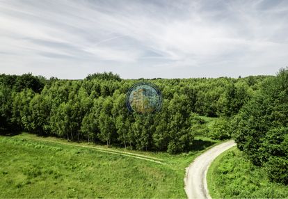 Ińsko – działka jak z baśni, cena jak z żartu!