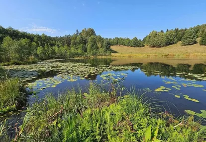 Suwalszczyzna, park krajobraz., 2 jez., budowlana.