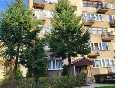 Mieszkanie wśród zieleni