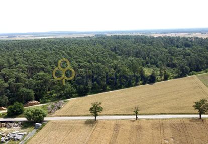 Atrakcyjne działki przy lesie | blisko poznania |