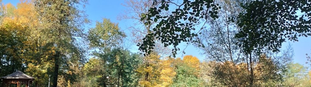 Tylko  teraz, zyskaj  44.000  rabatu, 0 % prowizji