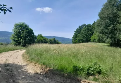 Działka na sprzedaż 1831m2