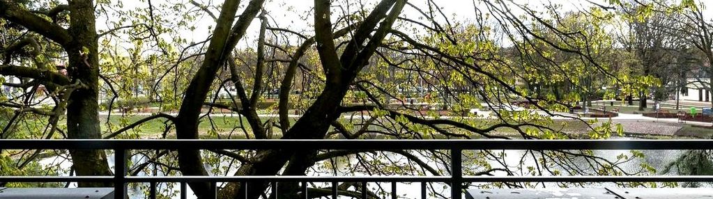 3 pokoje | komórka | garaż | widok na wodę i park