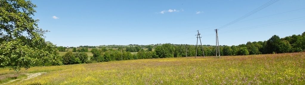 Działki budowlane na sprzedaż, tarnawa 141