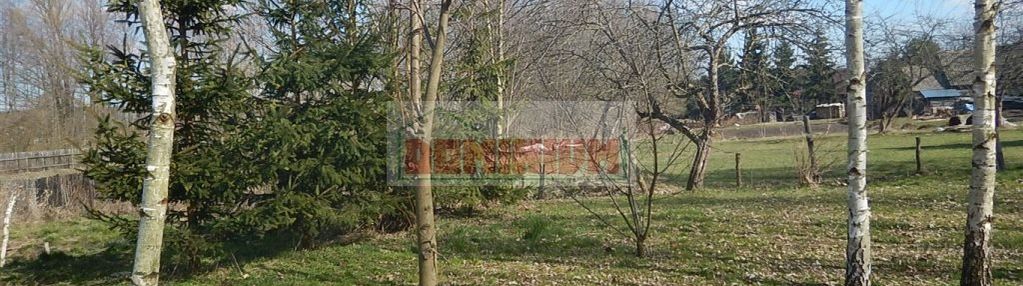 Atrkacyna działka w gm. gródek