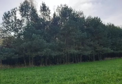 Działka na sprzedaż 361m2