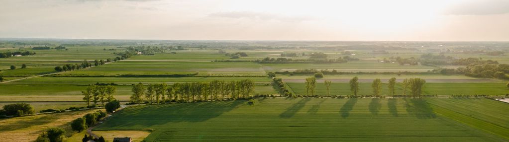 Grunt na sprzedaż żaby gmina baranów