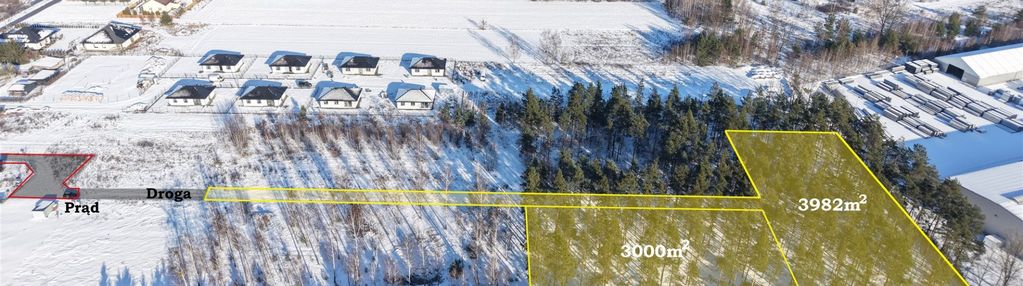 Działka leśna 3000 m² – sochaczew, wypalenisko